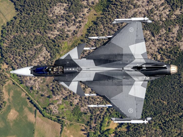 GRIPEN (1)