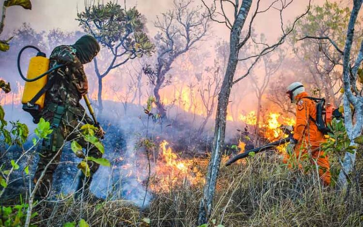 Militares do Exército Brasileiro combatendo incêndios. Foto: redes sociais EB