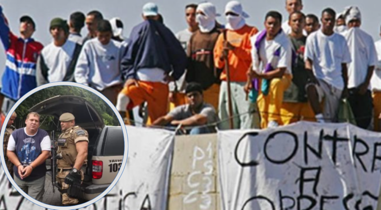 A guerra em santa catarina